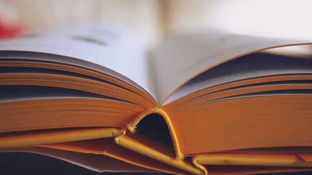 lesen (Foto: chris f/pexels) lesen (Foto: chris f/pexels)