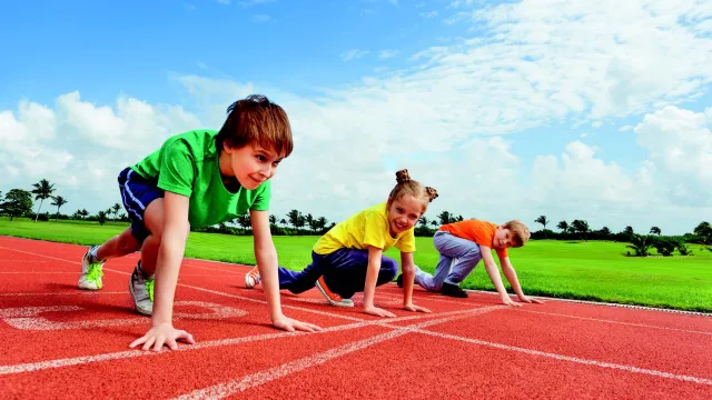 2024 Badi GD (Foto: AdobeStock) 2024 Badi GD (Foto: AdobeStock)