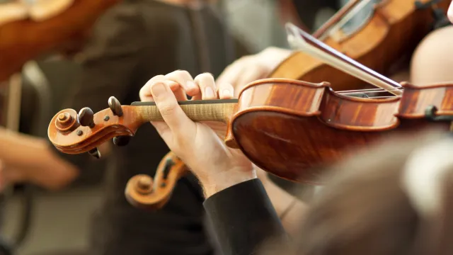 VIOLINE (Foto: AdobeStock) VIOLINE (Foto: AdobeStock)