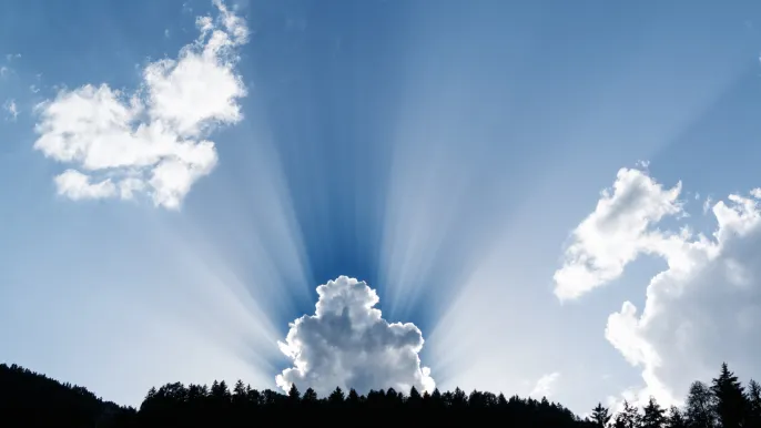 Auffahrt (Foto: silhouette-trees_magnific) Auffahrt (Foto: silhouette-trees_magnific)