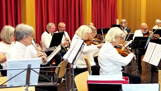 Seniorenorchester Zürich (Foto: zvg) Seniorenorchester Zürich (Foto: zvg)