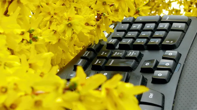 Tastatur im Frühling (Foto: Werner Näf) Tastatur im Frühling (Foto: Werner Näf)