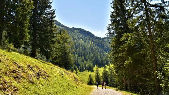 Wandern (Foto: Waldemar – Unsplash) Wandern (Foto: Waldemar – Unsplash)